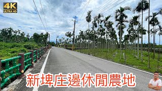 屏東｜新埤｜屏東買賣房地｜房地產買賣找小吳-吳乾毓｜新埤庄邊休閒農地｜售價每台分238萬