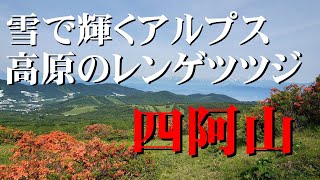 花の百名山と百名山。四阿山をのんびりハイキング💡