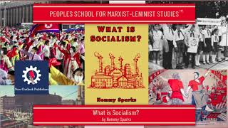 What is Socialism? - PSMLS Class