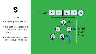[Python] Binary Tree Right Side View - Leetcode 199 -- Illustrated! | Pattern Mastery