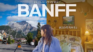 🇨🇦 혼자 캐나다 여행 EP.5 밴프(1) • 이동만 12시간 • 뚜벅이도 가능한 밴프 여행 • 다운타운 예쁜 독채 숙소 • 곤돌라 • BANFF SOLO TRIP