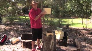 Part 3: Splitting an Australian Native Beehive