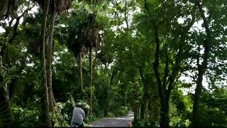 লক্ষ্মীপুর জেলার রামগঞ্জ উপজেলাধীন গ্রামীণ দৃশ্য