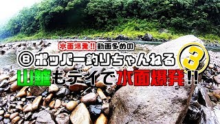 山鱸もデイで水面爆発‼③(清流鱸)