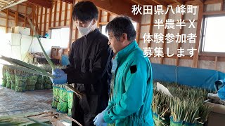 【募集終了】秋田県八峰町｢半農半Ｘ｣体験参加者募集