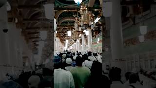 makka madina status #islamicvideo #makkah #islamic #allah