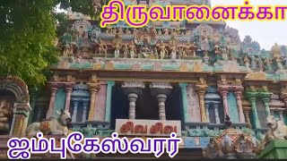 திருவானைக்கா ஜம்புகேஸ்வரர் அகிலாண்டேஸ்வரி Jambukeswaram Thiruvanaikaval.