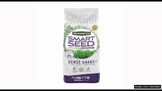 Pennington Smart Seed Dense Shade Grass Mix 7 lb Review