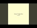 Ocean Fragile Star