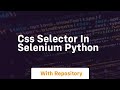 css selector in selenium python