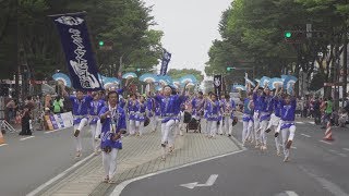 テクノ・マインド創 @仙台すずめ踊り(大流し①) 2018-07-29T10:36