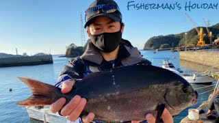 【グレ釣り】作戦成功！良型尾長グレキャッチ！！長崎県大瀬戸ウー瀬 水道 東【磯釣り】Fishing for opaleyes in Nagasaki Japan.