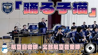 【♬ 踊る子猫  4K字幕】航空自衛隊 北部航空音楽隊『八戸学院大学 はちがくフェス 2024 演奏会』Northern Air Defense Force Band