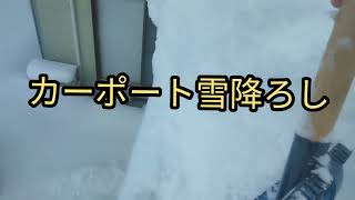 【今期1番の大雪】つぶれたら大損害まずはカーポートから