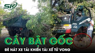 Bình Thuận: Cây Xà Cừ Bật Gốc Đè Nát Cabin Xe Tải Khiến Tài Xế Tử Vong | SKĐS
