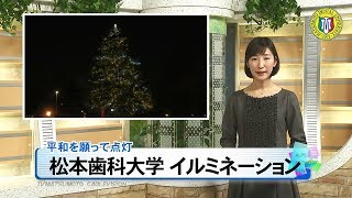 松本歯科大学イルミネーション［ニュース映像］