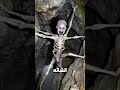 لن تصدق ما وجد هذا الرجل داخل كهف قديم ‼️😨 shorts