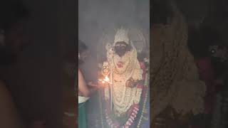 காண முடியாத ஒரு அதிசயம் முருகனைத்தரசிக்க நேரில் வந்த மயில் காண கோடி புண்ணியம் வெற்றிவேல் முருகன்🙏🙏🙏🙏