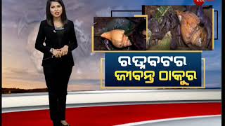 ପାରାଦୀପ Ratna Bataର ଜୀବନ୍ତ ଠାକୁର | Leaving God | Paradeep Nehru Bangala Ratna Bata | Zee Exclusive