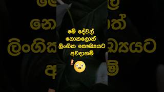 ඔයා දන්නවද.. #shortvideo #shorts #lifestyle #education