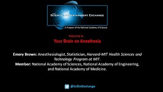 Your Brain on Anesthesia