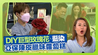 健康360 TVB｜花藝達人李寶琪示範DIY巨型玫瑰花 採摘藍草學習藍染｜人氣愛情心理測試｜保哥黃亞保炮製亞保陳皮臘味蘿蔔糕｜流行都市 安德尊 宋芝齡 彭慧中 焦浩軒