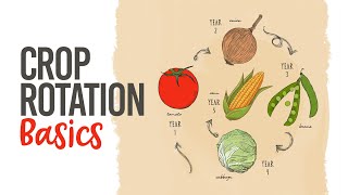 Crop Rotation Basics