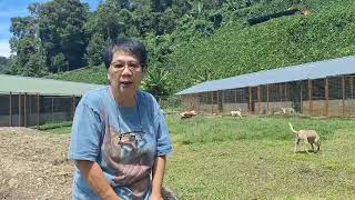 Cherishlife shelter - Aunty Winnie