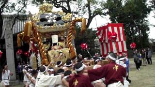 ＮＷＭ－３１６　英賀神社2011　(中浜・屋台)　宵宮