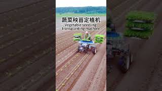 蔬菜秧苗定植机||Vegetable seedling transplanting machine