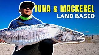 Tuna \u0026 Spanish Mackerel Land Based [Part 2]