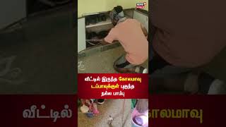 கோலமாவு டப்பாவுக்குள் புகுந்த அலறவிட்ட  நல்ல பாம்பு | Snake | Tamil News