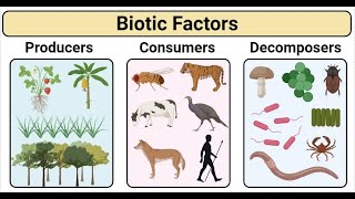 全面了解 Biotic Factors 生物因素 (3分钟微学习)