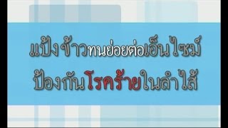 ชาววิทย์ชิดชาวบ้าน ตอน แป้งข้าวทนย่อยต่อเอ็นไซม์ ป้องกันโรคร้ายในลำไส้