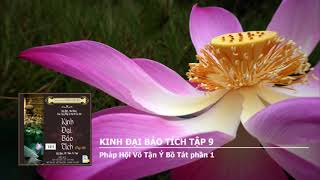 [PHẦN 252/262] KINH ĐẠI BẢO TÍCH, TẬP 9: PHÁP HỘI VÔ TẬN Ý BỒ TÁT, PHẦN 1.