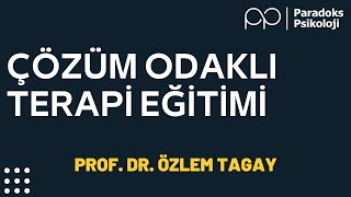 PSİKOLOJİK DANIŞMA SÜRECİNDE ÇÖZÜM ODAKLI BAKIŞ AÇISI  EĞİTİMİ - ÇÖZÜM ODAKLI TERAPİ