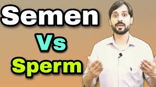 Difference Between Semen and Sperm