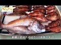 【ジギング】ライトジギング！釣れない時は底ちょんちょん釣り！