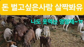 조금 더 챙겨줬을뿐인데~