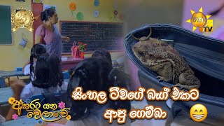 සිංහල ටීචර් ගේ බෑග් එකට ආපු ගෙම්බා ... | Akurata Yana Welawe