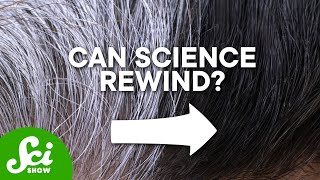 Can Gray Hair Be Reversed?