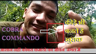 CRPF CoBRA commando eating insect in breakfast