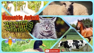 Some Domestic Animal | গৃহপালিত পশু পাখি পরিচিতি #animals #cat #Horse #Cow #roster#animals