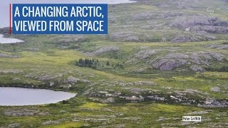 NASA Studies Details of a Greening Arctic