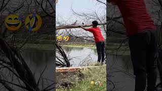 kabutar baji short video ik shonk kabootar Bazi da #viral #pigeon #shortvideo #1kcreator #trending