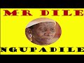 mr dile ngupadile official audio