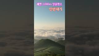 안반데기 --해발 1,100m 일출명소 #안반데기마을 #안반데기일출 #강릉가볼만한곳