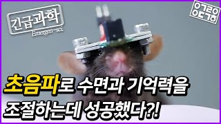 초음파를 쏴서 수면과 기억력을 조절한다?! 국내 연구진의 최신 연구 결과! [안될과학 - 긴급과학]