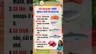 Các Loại Cá Béo Giàu Omega-3 Tốt Cho Sức Khỏe – Dinh Dưỡng 24h Gợi Ý Nên Ăn Mỗi Tuần