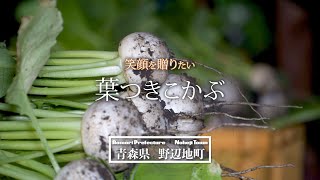 イイネ！CM ＜野辺地地域おこし協力隊＞「野辺地葉つきこかぶ10個（今年は約800円前後）」で作りました！WARASHIBEいんたびゅー